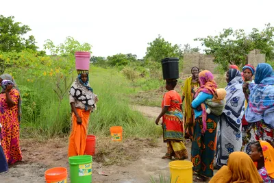 DSC_9603 (Large).JPG